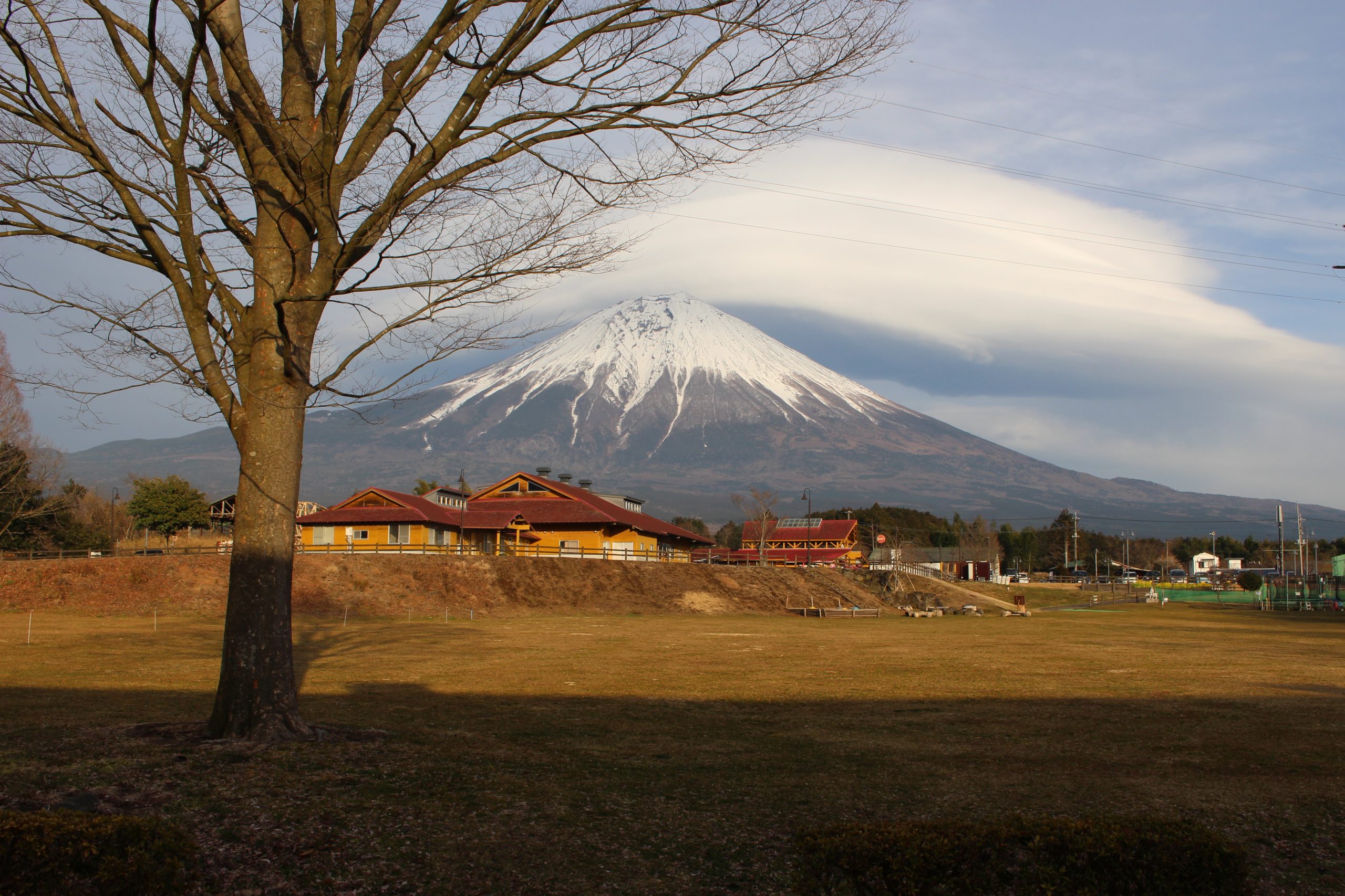 【レビュー】絶景の富士山を見ながらペットと一緒にBBQも宿泊もできる富士ミルクランドのご紹介