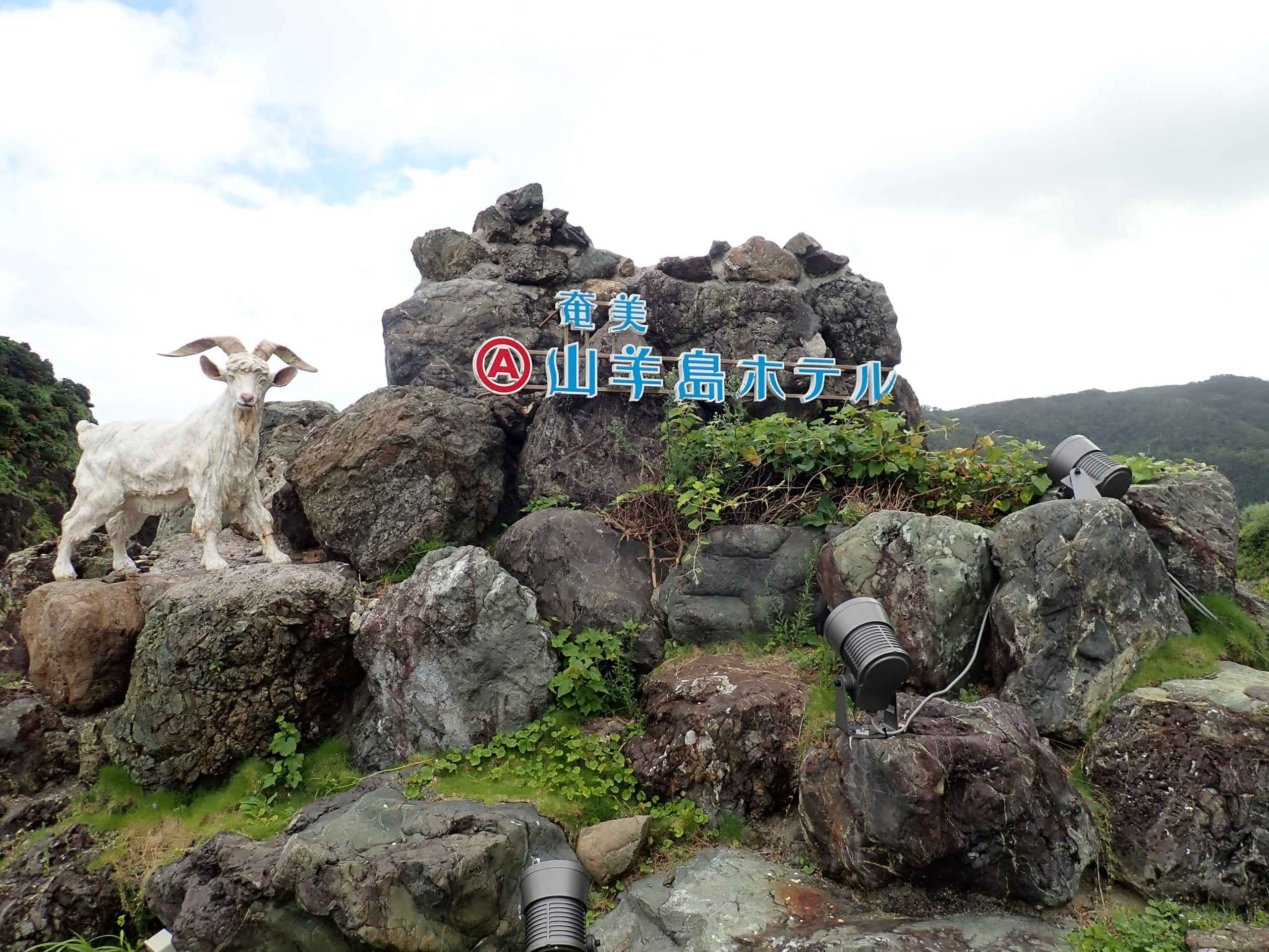 【レビュー】山羊島ホテルは奄美大島でリーズナブルにリゾート気分を味わえるオススメ宿