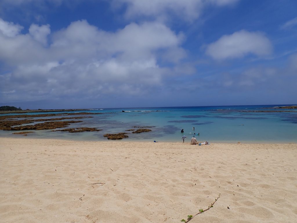 【3泊4日】奄美大島でシュノーケリングを楽しむ最適なプランは？