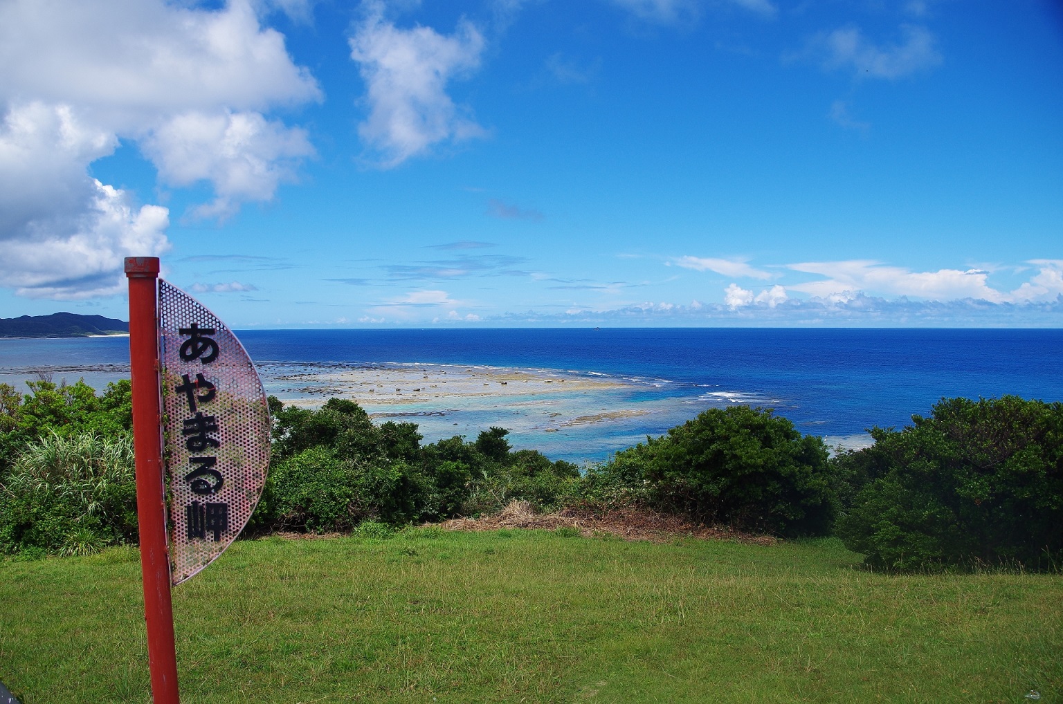 東洋のガラパゴスと言われている奄美大島のベストな行き方は？