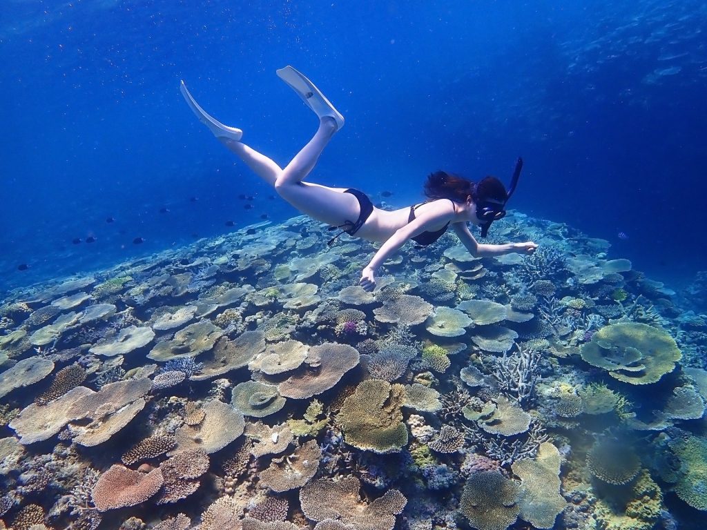 奄美大島でシュノーケリングするならビーチエントリーがオススメな理由