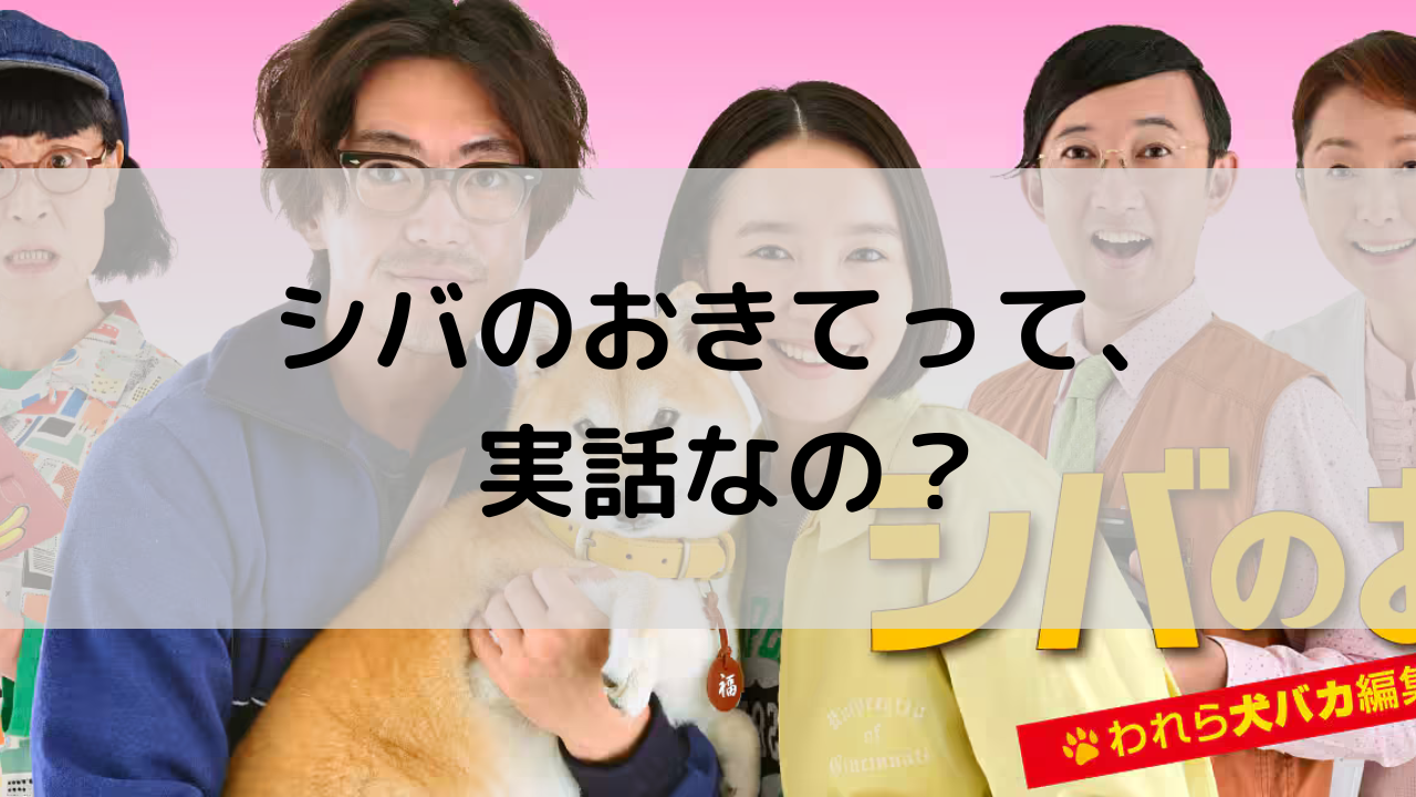 『シバのおきて』は実話だった？NHKドラマの元ネタと感動エピソードを解説！